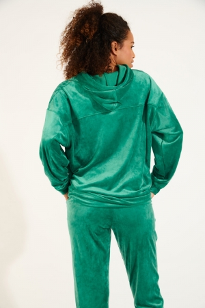 Sweatshirt Bradley Sealake GROEN
