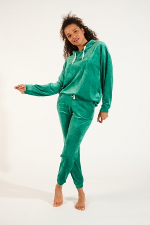 Sweatshirt Bradley Sealake GROEN