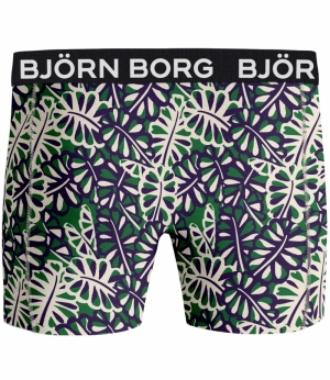 BB Cotton Stretch Boxer 2P GROEN