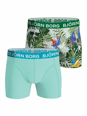 Essential Boxer 2-pack GROEN