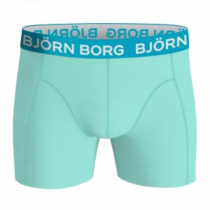 Essential Boxer 2-pack GROEN
