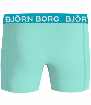 Essential Boxer 2-pack GROEN