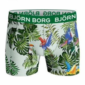 Essential Boxer 2-pack GROEN