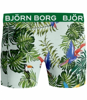 Essential Boxer 2-pack GROEN