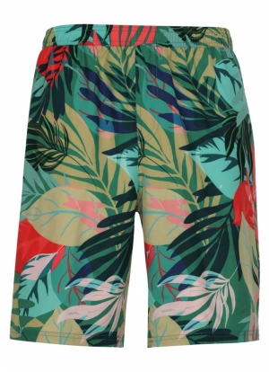 Wavebreaker zwemshort MEERKLEURIG