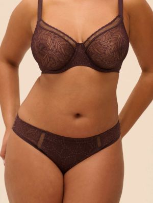 Comète slip DARK BROWN
