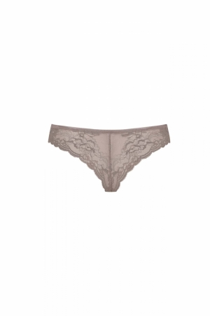 Antonia shorty DUSTY GREY