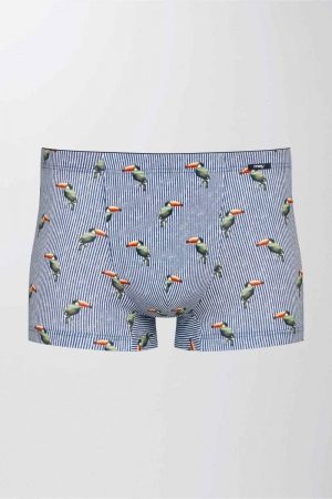 Hawston short TROPICAL BLUE