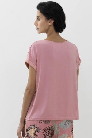Alena shirt korte mouw CHERRY CREAM