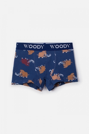 Woody jongens short, duo pak BLAUW