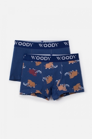 Woody jongens short, duo pak BLAUW