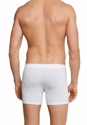 Cotton Essentials Authentic sh WIT