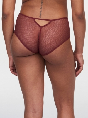 Olivia shorty BORDEAUX