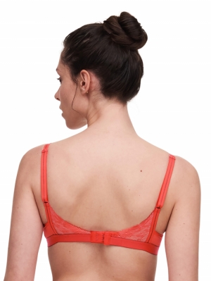 Neela push-up bh BRIGHT POPPY