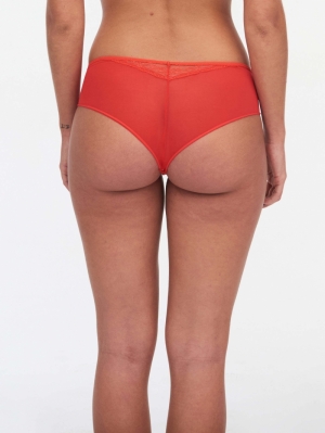 Neela shorty BRIGHT POPPY