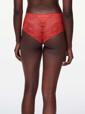 Waltz shorty ROOD
