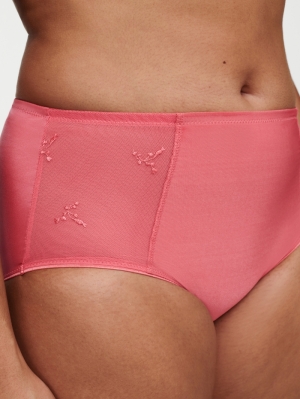 Every Curve slip hoge taille KORAAL