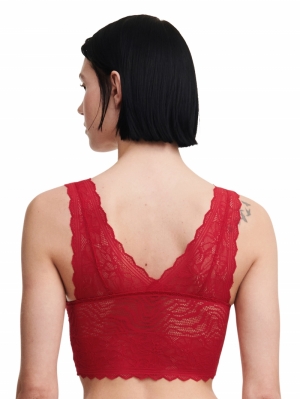 Floral Touch bralette Scarlet