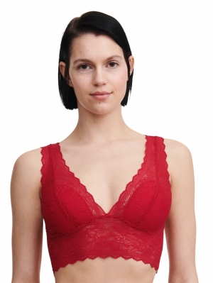 Floral Touch bralette Scarlet