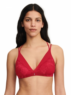 Midnight Flowers bh zonder beu SCARLET RED