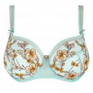 Lauren beugelbh ETOILE