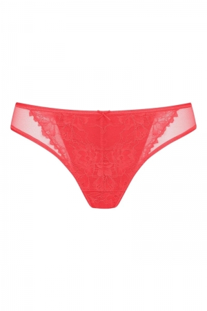 Fabulous slip LOLLOPOP RED
