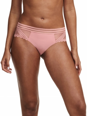 Rodeo shorty ROSEWOOD