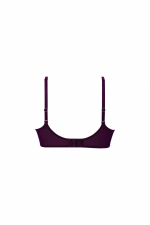 Rosemary beugelbh PURPLE