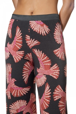 Flying Bird lange broek THUNDER GREY